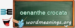 WordMeaning blackboard for oenanthe crocata